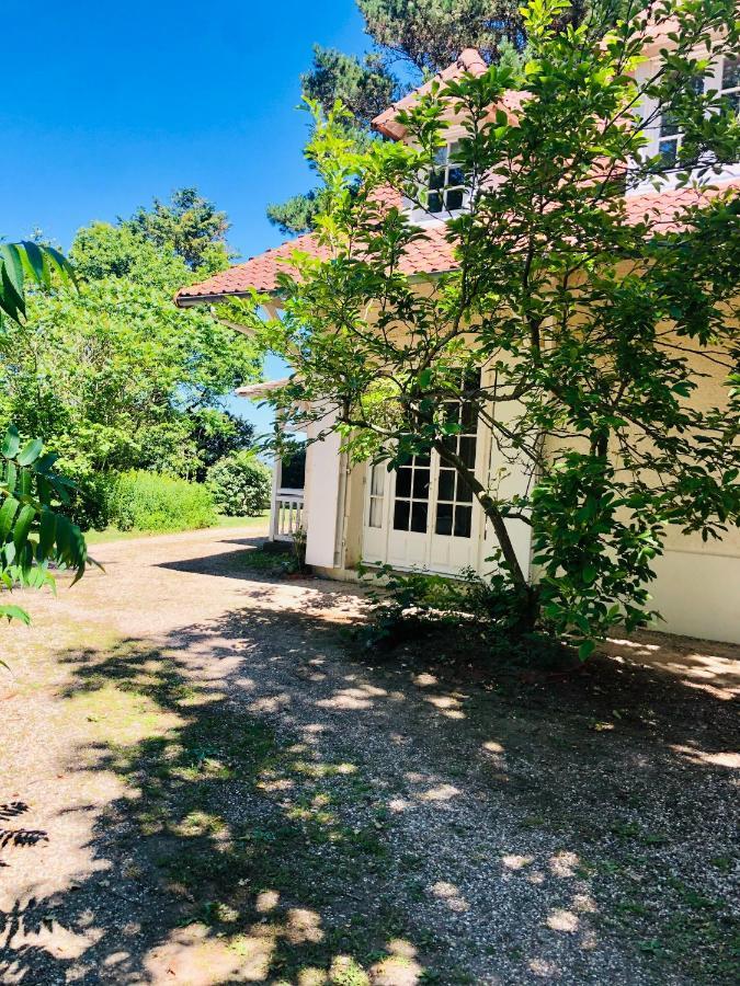 Villa Vue Mer Avec Acces Direct A La Plage Varengeville-sur-Mer Kültér fotó